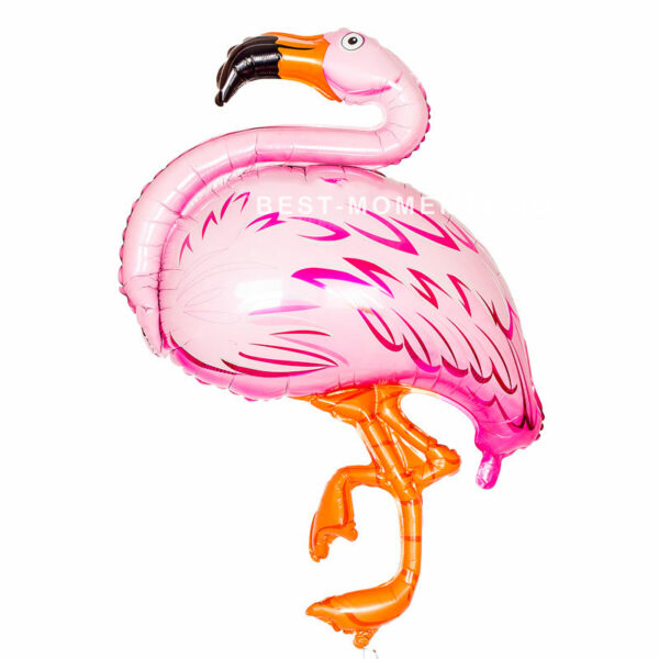 rozovyy-flamingo